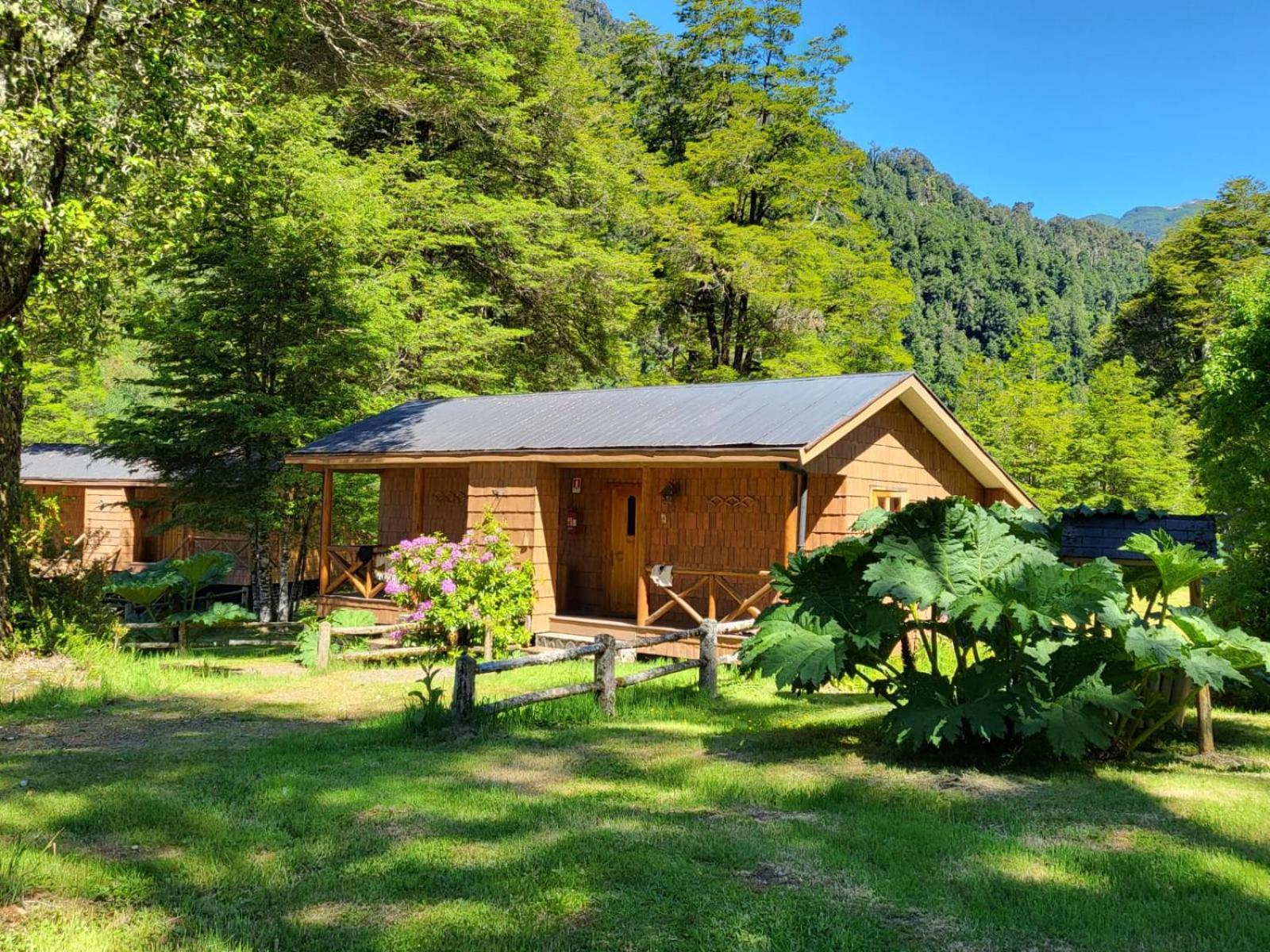 פוארטו פויוואפי El Pangue Lodge מראה חיצוני תמונה