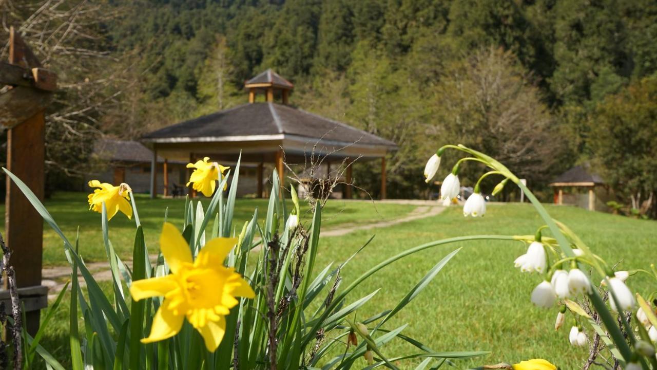 פוארטו פויוואפי El Pangue Lodge מראה חיצוני תמונה